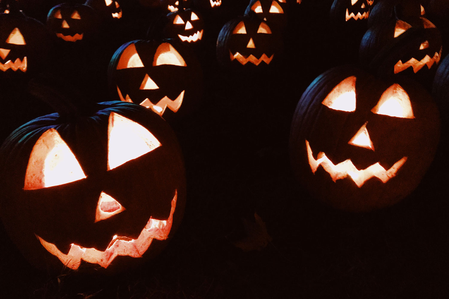 7 Spooky Good Music Marketing Tips To Try